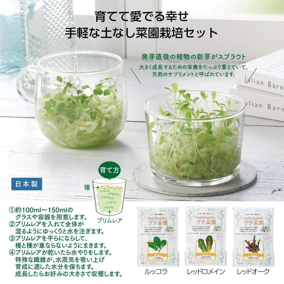 tuchinashiプチ菜園セットで簡単野菜栽培、ルッコラ等3種育成可能