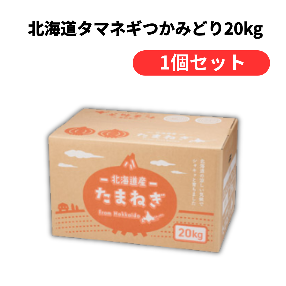 北海道タマネギつかみどり20kg(20名様)【単価6480円(税込)】【1個】