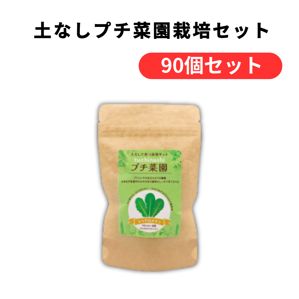 土なしプチ菜園栽培セット【単価297円(税込)】【90個】