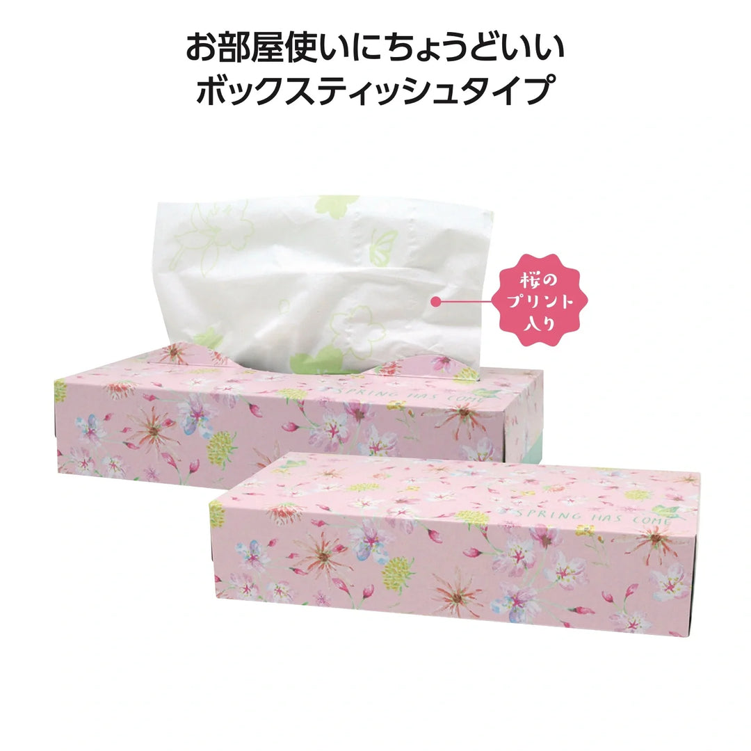 春が来た!さくらBOXティッシュ120W 化粧箱 再生紙使用 さくらデザイン