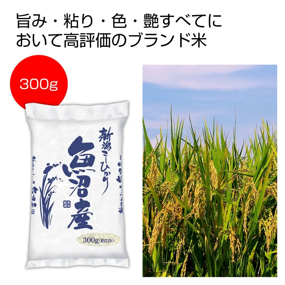 魚沼産コシヒカリ300g袋入り、旨みと粘りが特長の高評価ブランド米