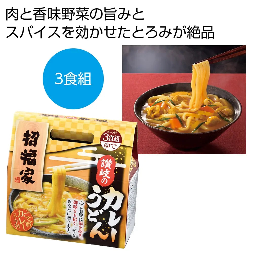招福家 感謝の麺 讃岐のカレーうどん3食 和風スパイスとろみスープ付き