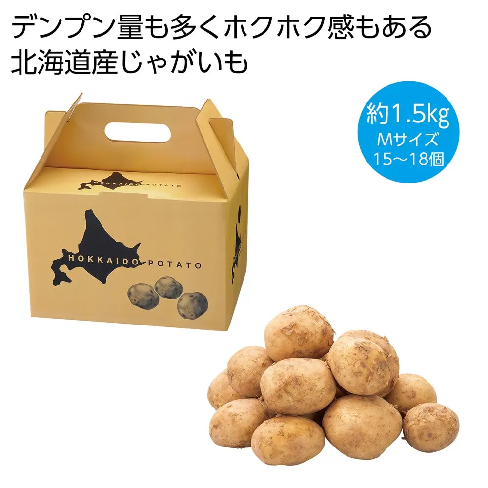 北海道産じゃがいも1.5kg【16個】持ち手付化粧箱入りでアウトドアに最適