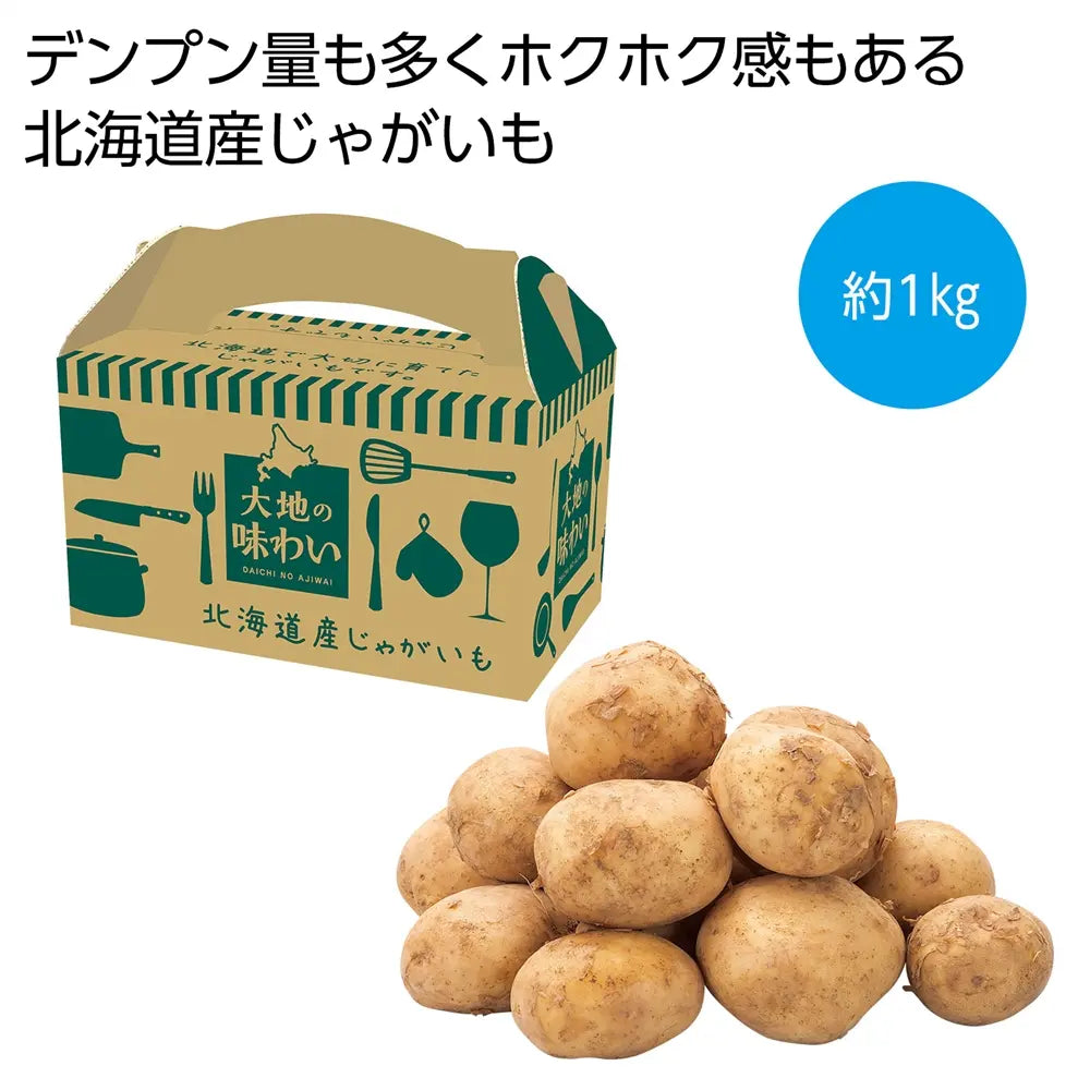 大地の味わい 北海道産じゃがいも1kg 持ち手付化粧箱入り 秋の味覚