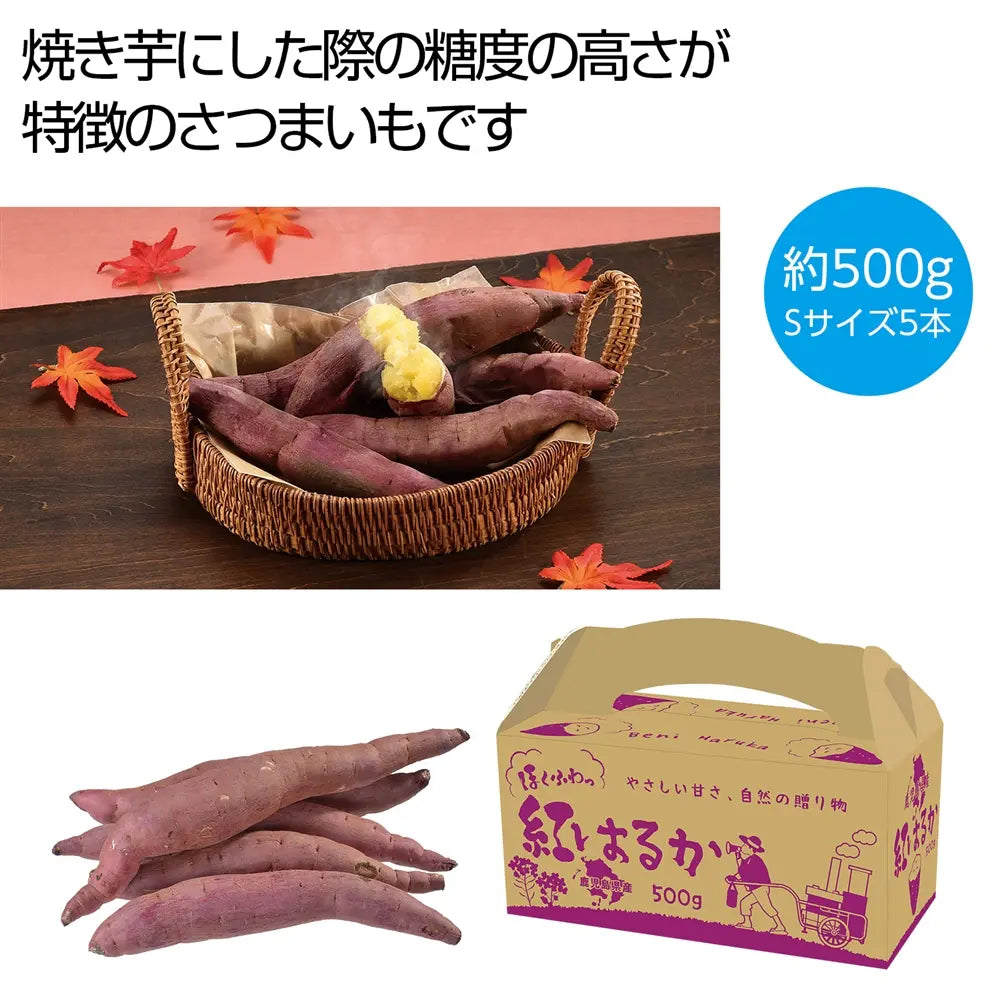 ほくふわっ 鹿児島県産紅はるか500g 焼き芋風化粧箱入りセット