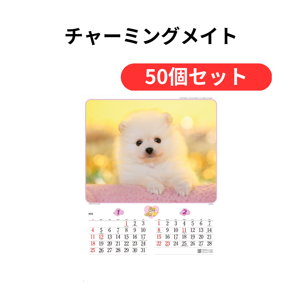 チャーミングメイト【単価472円(税込)】【50個】