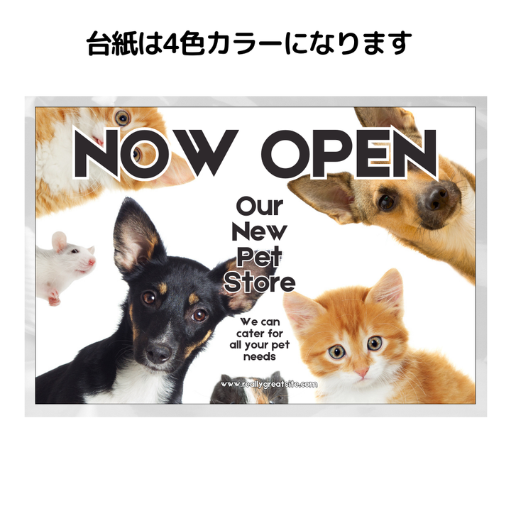 国産オリジナルカイロレギュラーエコ 貼るタイプ(デザイン台紙封入)【単価222円税込】【100個】
