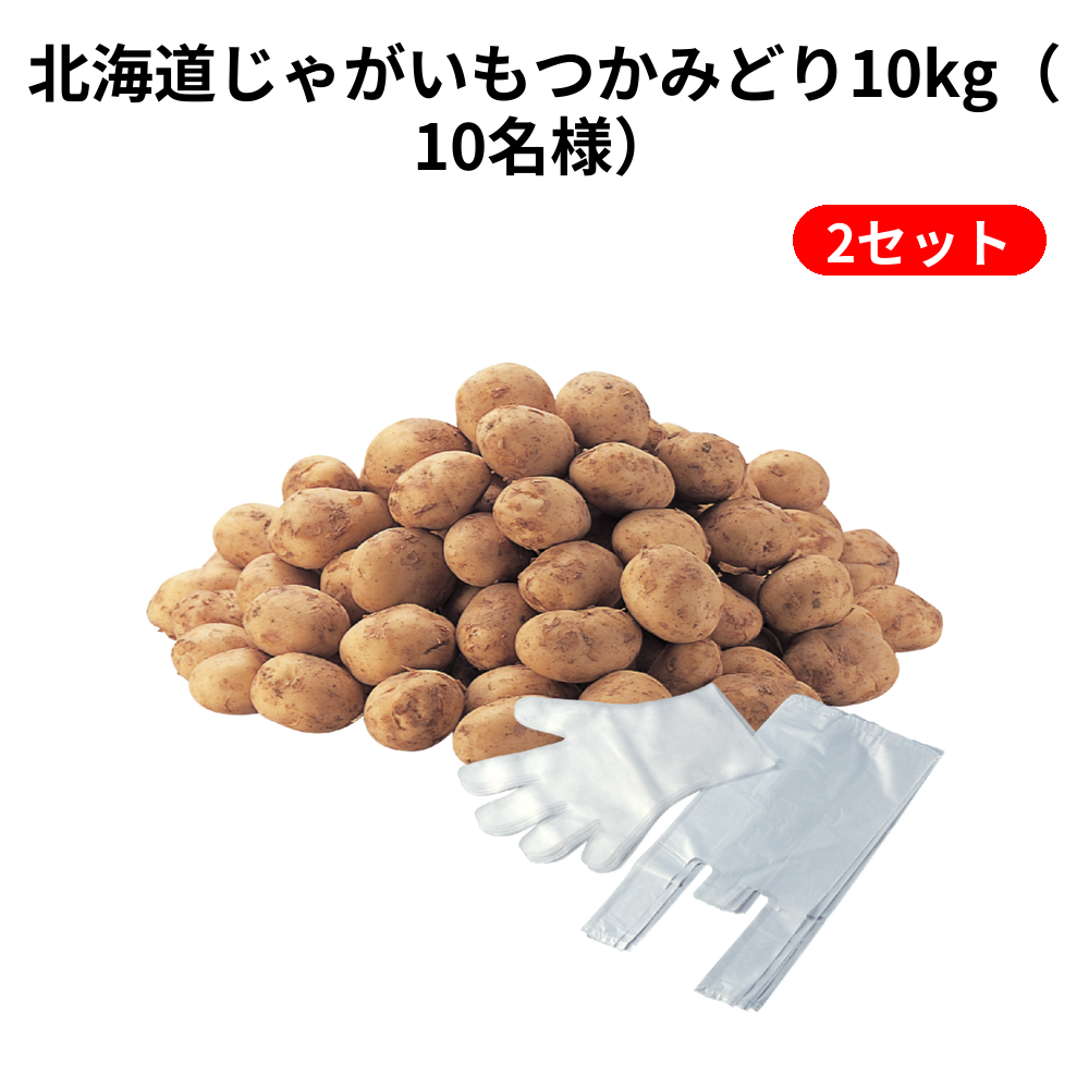 北海道じゃがいもつかみどり10kg（10名様） 2セット