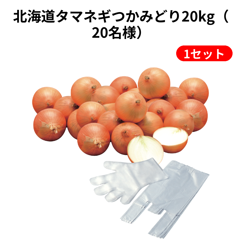 北海道タマネギつかみどり20kg（20名様） 1セット