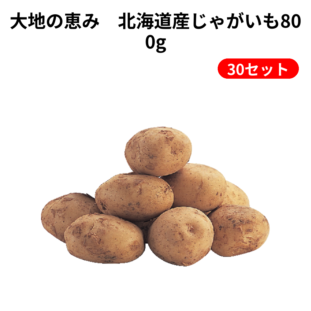 大地の恵み　北海道産じゃがいも800g 30セット