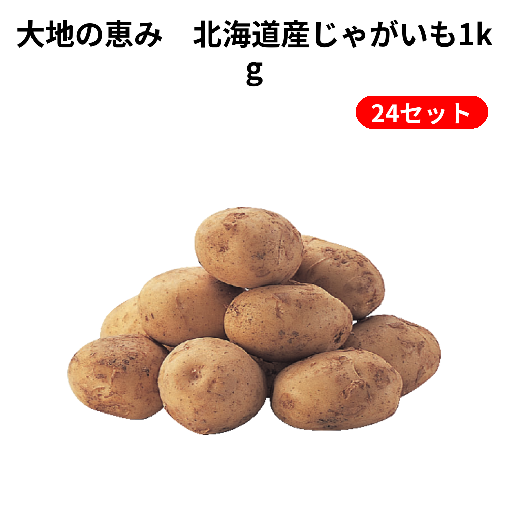 大地の恵み　北海道産じゃがいも1kg 24セット