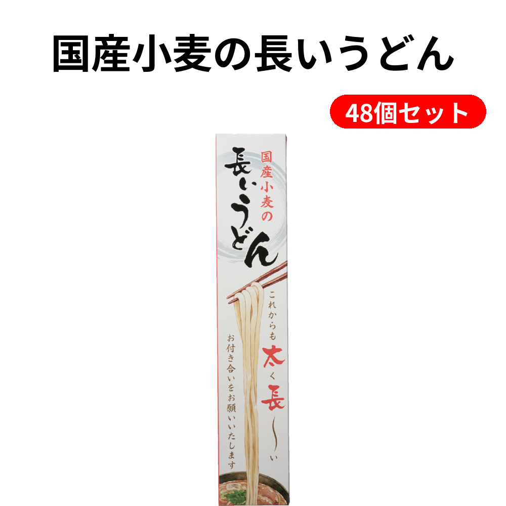 国産小麦の長いうどん 48個セット