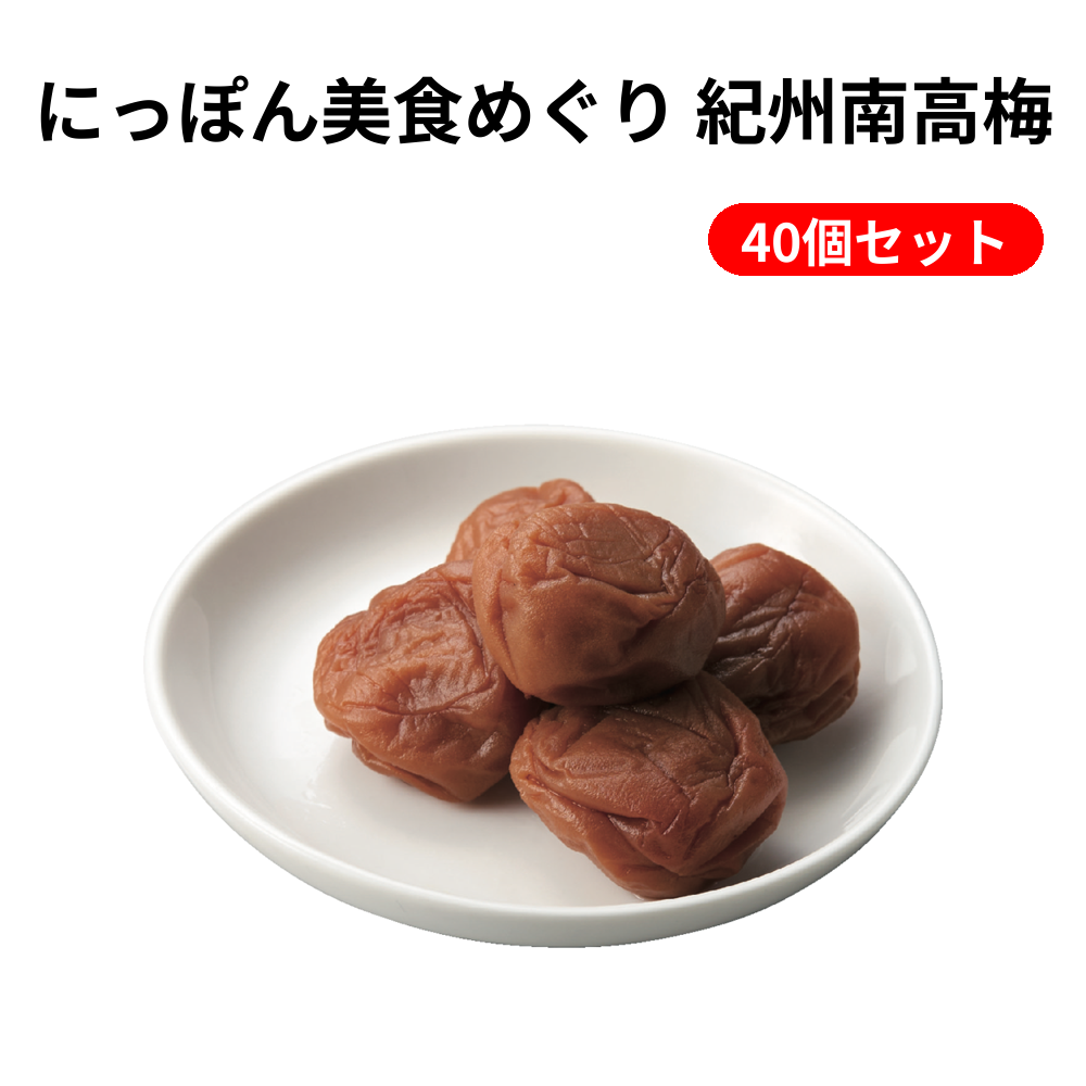 にっぽん美食めぐり 紀州南高梅 40個セット