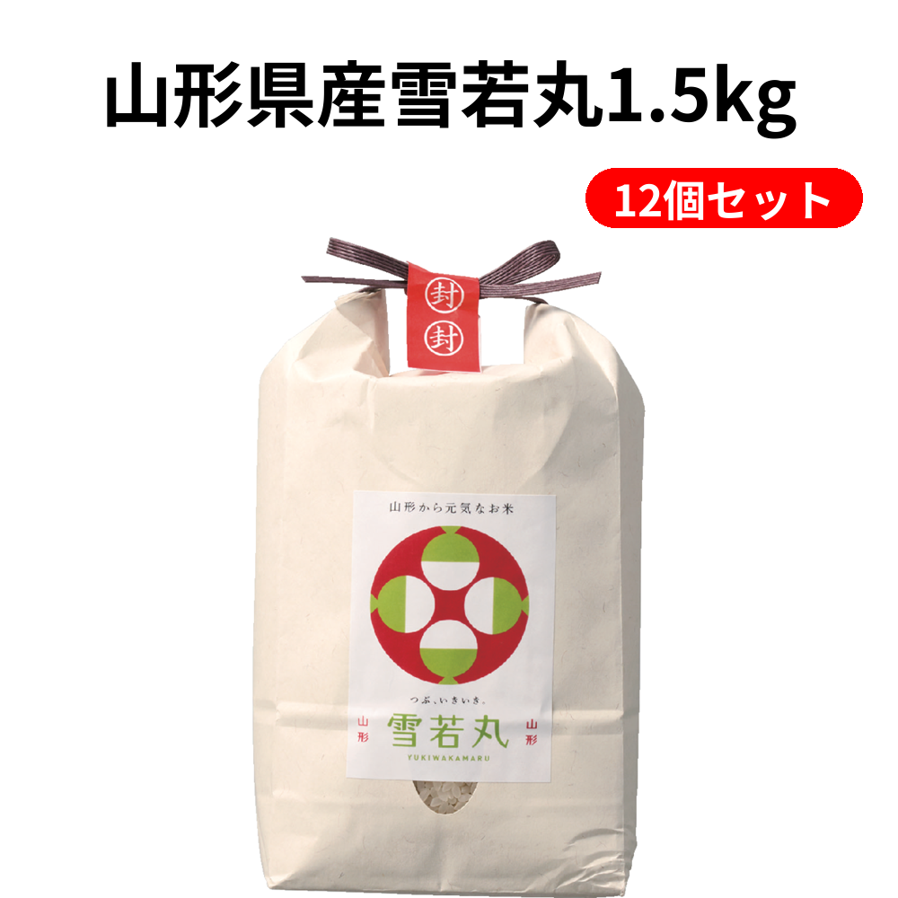 山形県産雪若丸1.5kg 12個セット