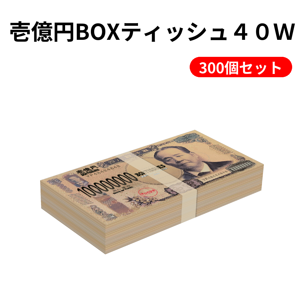 壱億円BOXティッシュ４０Ｗ 300個セット