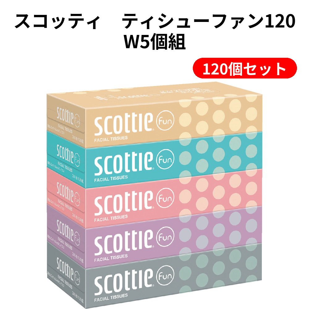 スコッティ　ティシューファン120W5個組 120個セット