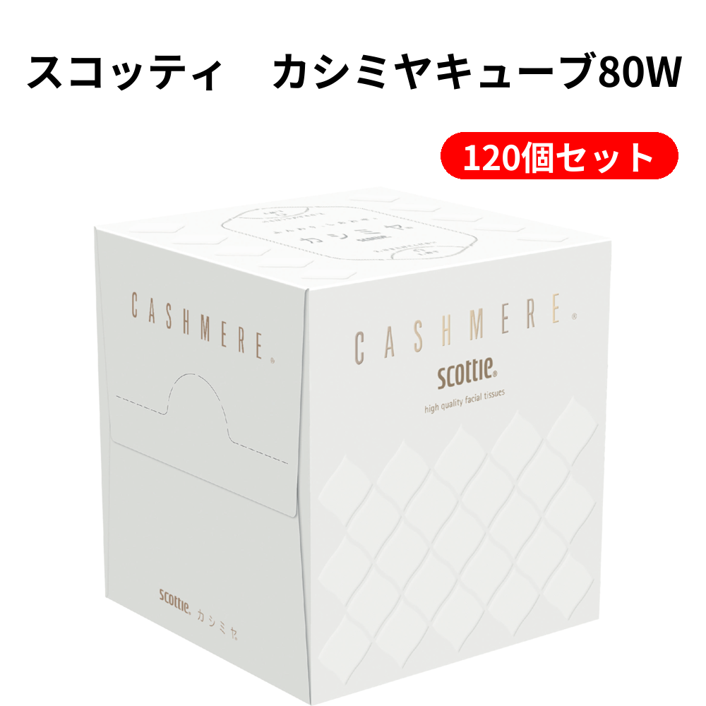 スコッティ　カシミヤキューブ80W 120個セット