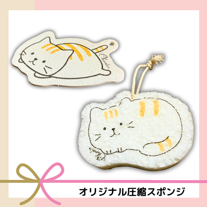 オリジナル圧縮スポンジ