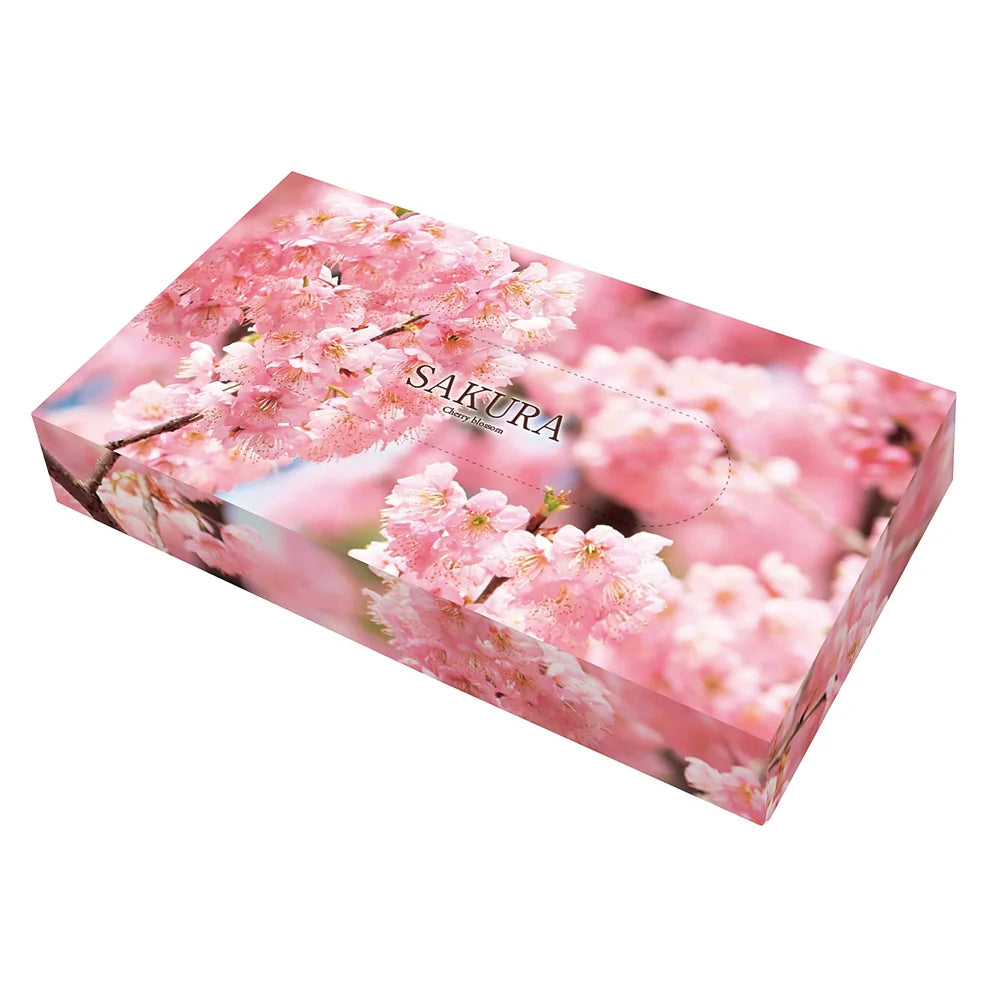 桜ティッシュ40W、満開桜柄の箱、白無地ティッシュ、コンパクトで配布最適